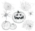 Halloween collection of vector drawings.