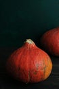 Halloween is coming. Simple pumpkins above green wall Royalty Free Stock Photo