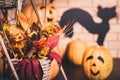 Halloween composition of autumn leaves and flowers Royalty Free Stock Photo