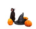 Halloween composition. Black cat with witch hat sitting next to pumpkin on white background Royalty Free Stock Photo