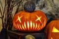 Halloween composition of burning pumpkin with bat. Cobwebs branches atmosphere