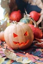 Halloween composition of jack o` lantern, pumpkins, illumination, mystical decor