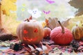 Halloween composition of jack o` lantern, pumpkins, illumination, mystical decor