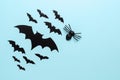 Halloween composition. Spider and bats on a pastel blue background flat lay. View from above. Royalty Free Stock Photo