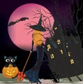 Halloween composition, Royalty Free Stock Photo