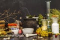 Halloween concept. Alchemy laboratory of the witch Royalty Free Stock Photo