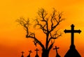 Halloween concept background with scary silhouette dead tree and spooky silhouette crosses Royalty Free Stock Photo