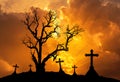 Halloween concept background with scary silhouette dead tree and spooky silhouette crosses Royalty Free Stock Photo