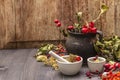 Halloween concept background. Witch bowler, mistletoe, elderberry. Dry herbs, flowers, fresh berries Royalty Free Stock Photo