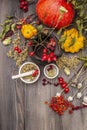 Halloween concept background. Witch bowler, mistletoe, elderberry. Dry herbs, flowers, fresh berries Royalty Free Stock Photo