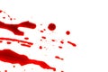 Halloween concept : Blood splatter on white background .