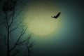 Halloween concept; Forest horror background with full moon and dead trees in the night sky Royalty Free Stock Photo