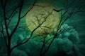 Halloween concept; Forest horror background with full moon and dead trees in the night sky Royalty Free Stock Photo