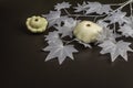 Halloween concept. Ghostly white maple leaves on a branch, pumpkins