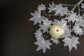 Halloween concept. Ghostly white maple leaves on a branch, pumpkins Royalty Free Stock Photo