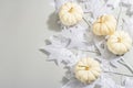 Halloween concept. Ghostly white maple leaves on a branch and white pumpkins Royalty Free Stock Photo