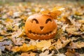 Halloween concept. Orange pumpkin for Halloween outdoors in orange autumn leaves