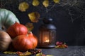 Halloween concept Orange pumpkins, a lantern with candles and foliage on a dark background with a cobweb