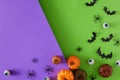 Halloween concept with spiders, bats, eyeballs and pumpkins on purple and green background Royalty Free Stock Photo