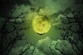 Halloween concept: Spooky forest with full moon and dead trees, dark horror background Royalty Free Stock Photo