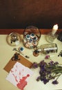 halloween still life with a blank bloody card, eyeballs, scorpions, insect and dry flowers Royalty Free Stock Photo