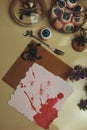 halloween still life with a blank bloody card, eyeballs, scorpions, insect and dry flowers Royalty Free Stock Photo