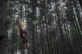 Scarecrow hanged from a tree branch in sinister forest