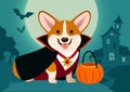 Halloween corgi dog in vampire costume against spooky background Royalty Free Stock Photo