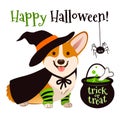 Halloween corgi puppy dog wearing witch costume with black hat a Royalty Free Stock Photo