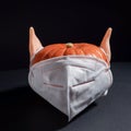 Halloween coronavirus red eared pumpkin in medical protective mask, dramatic portrait on black background Royalty Free Stock Photo