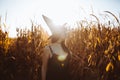 Halloween costume witch girl portrait in a cornfield at sunset. Beautiful serious young woman in witches hat with long black hair Royalty Free Stock Photo
