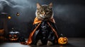 Halloween Count Dracula Cat Royalty Free Stock Photo