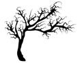 Halloween creepy scary bare tree vector symbol icon design. Royalty Free Stock Photo