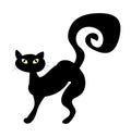 Halloween creepy scary witches cat vector symbol icon design.