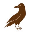 Halloween crow, black raven bird isolated on white. Hand drawn silhouette of black crow. Vector bird. Dark raven shape Royalty Free Stock Photo