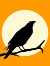 Halloween Crow silhouette Royalty Free Stock Photo