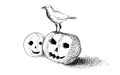 Halloween crow spooky pumpkin Royalty Free Stock Photo