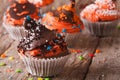 Halloween cupcakes decorated with chocolate hat closeup. horizon Royalty Free Stock Photo