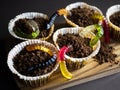 Halloween cupcakes decorated by jelly worms. Funny and spooky food for children and adults