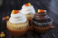 Halloween Cupcakes