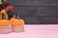 Halloween cupcakes. Witch`s hat cupcake. Halloween treats on woo Royalty Free Stock Photo