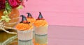 Halloween cupcakes. Witches hat cupcake. Halloween treats on woo Royalty Free Stock Photo