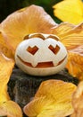 Halloween cute curved white pumpkin with funny heart eyes and vampire smily face in the autumn yellow leaves. Royalty Free Stock Photo