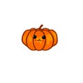 Halloween cute funny pumpkin