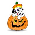 Halloween. Dalmatian dog sitting in a pumpkin. Cartoon on a whit Royalty Free Stock Photo
