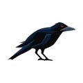 Halloween dark crow bird icon