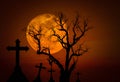 Halloween dark grunge grain concept background with scary dead tree and spooky silhouette crosses and full mo Royalty Free Stock Photo