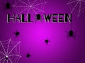 Halloween day. Many black spiders on a purple background and black Halloween
