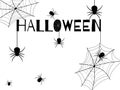 Halloween day. Many black spiders on a white background and black Halloween font