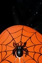 Halloween Decor - Black Spider And Cobwebs On A Solid Orange Background